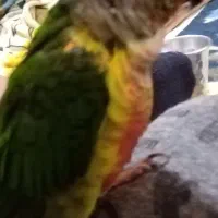 فروش چندین لوازم خانگی|عمدهفروشی|برازجان, |دیوار