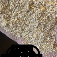 خرید فروش گندم جو