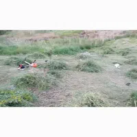 زمین ویهج مناسب باغ