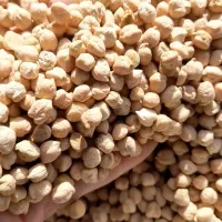 نخود ۳ خان کرمانشاه