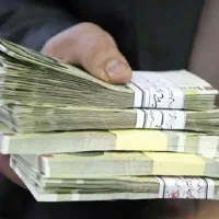 ضامن