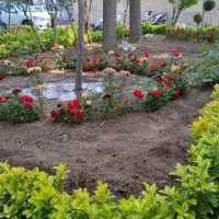 خدمات باغبانی گلکاری باغچه کاری تعویض خاک گلدون|خدمات باغبانی و درختکاری|تهران, آرژانتین|دیوار
