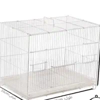 قفس همه پرندگان