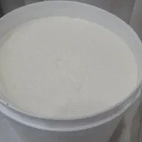 لبنیات محلی