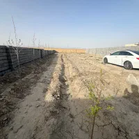 زمین باغی دور دیوار