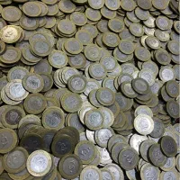 1000 عدد سکه بیست و پنج تومن دوتیکه