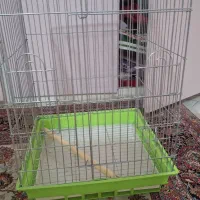 قفس پرنده ۱۰۳۳