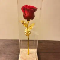 کادو گل طبیعی جاودان با ساقه ی طلایی|صنایع دستی و سایر لوازم تزئینی|شیراز, معالی‌آباد|دیوار