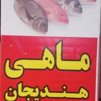 انواع ماهی حراج شد