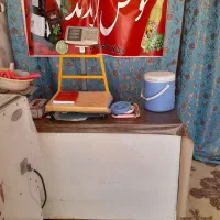 ابگوجه گیری سبزی خوردکنی آبلیمو گیری|فروشگاه و مغازه|بردسیر, |دیوار