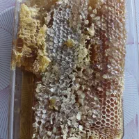 عسل آویشن وخروسک وعسل باموم وگرده گل وبرمون