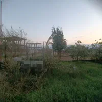 1000متر زمین مسکونی/ساحل کلفارود|فروش زمین و ملک کلنگی|تالش, طولارود|دیوار