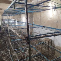 قفسه سالن قارچ