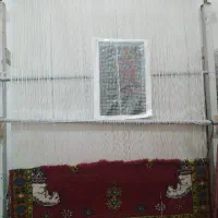 دارقالی|تابلو فرش|برازجان, |دیوار