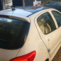 ۲۰۷ پانا سقف شیشه ای رینگ فولادی  صفر ۱۴۰۴|خودرو سواری و وانت|ملارد, |دیوار