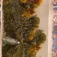 تابلو فرش دست بافت  ریز سرد رود ۵۰ رج چله ابریشم|تابلو فرش|تبریز, |دیوار