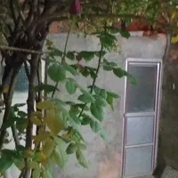 اجاره خانه در اناخاتون