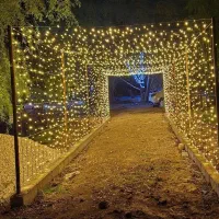 ریسه سوزنی ۵۰ متری طلایی ضدآب(عمده و تک)