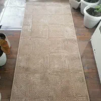 فرش کناری|گلیم، جاجیم، گبه|قائم‌شهر, |دیوار