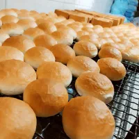 استخدام نیروی کار در نان فانتزی