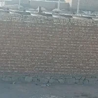 صفر تا صد بنایی پذیرفته می‌شود