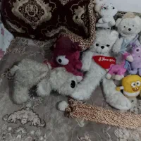 عروسک