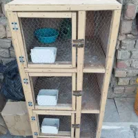 قفس چوبی .کجه .گنجه کفتر پرشی ماده