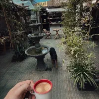 استخدام، برای بوفه باشگاه بدنسازی (کافه)