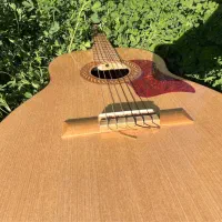 گیتار بسیار خوش صدا