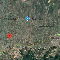 فروش فوری باغ