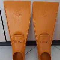 فین شنا mississipi