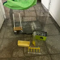 قفس مرغ عشق