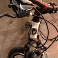 دوچرخه ویوا