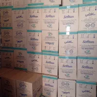 تاید و مایع لباسشویی سافتلن