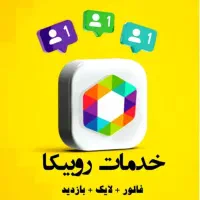 فالوور تضمینی