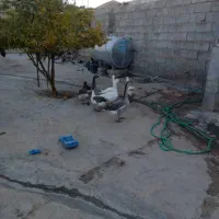 غاز|حیوانات مزرعه|فیروزآباد (لرستان), |دیوار