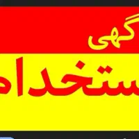 فروشنده خانم
