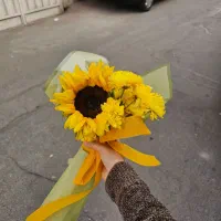 دسته گل|گل و گیاه طبیعی|تهران, دهم فروردین|دیوار