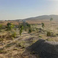 درخت بیدقطعه ۱۰۰۰متری دورفنس بادرخت|فروش خانه و ویلا|طرقبه, |دیوار