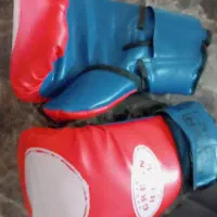 کیسه بوکس با دستکش|تجهیزات ورزشی|نورآباد ممسنی, |دیوار