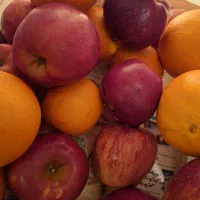 اجاره حجره *میوه و تره بار