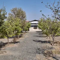 باغ ۷۰۰ متری سوران ناظریه حاشیه مترو گلبهار|فروش زمین و ملک کلنگی|مشهد, میان ولایت|دیوار