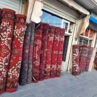 نه تک گل رز بزرگواره|فرش|مراغه, |دیوار