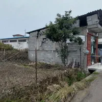 فروش نانوایی کردیکلا|فروشگاه و مغازه|نوشهر, |دیوار