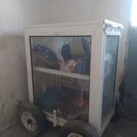 ویترین