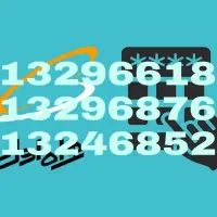 خط شماره تلفن دائمی همراه اول صفر کرمان