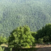 زمین-500متر-افراتخته-سرمایه-گذاری