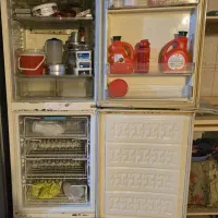 یخچال|یخچال و فریزر|باغستان, |دیوار