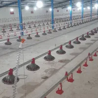 ابخوری دونخوری