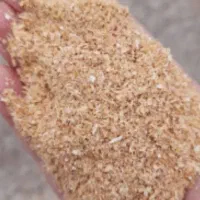 سبوس گندم
